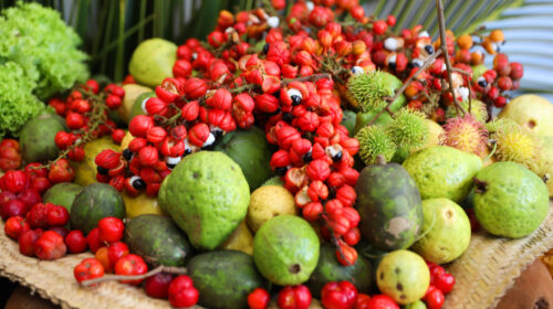 Sertão Vivo Bahia