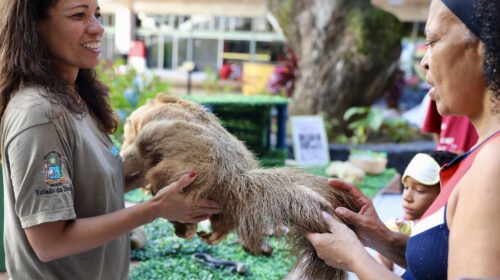 Educação ambiental desenvolvido pelo Parque Zoobotânico da Bahia