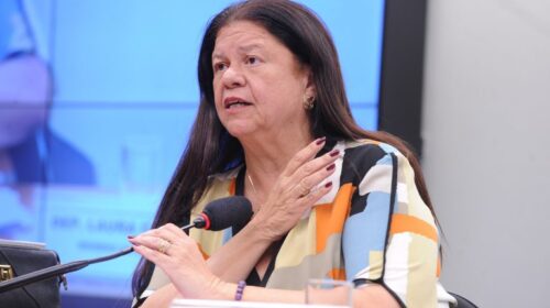 Discussão e votação do parecer do Relator. Dep. Laura Carneiro (PSD - RJ).