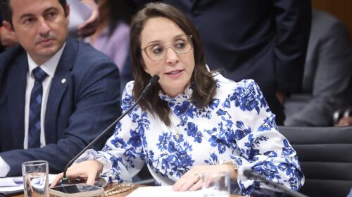 Reunião de Líderes. Dep. Renata Abreu (PODE-SP)