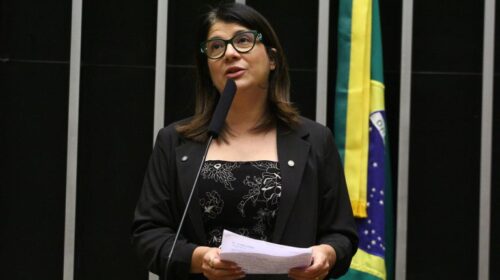 Discussão e votação de propostas legislativas. Dep. Carla Dickson (PL-RN)